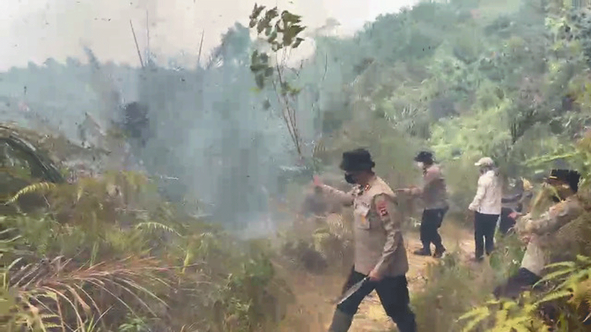 Angin Tak Punya KTP, Api yang Sudah Padam Kembali Berkobar, Lahan Terbakar di Dharmasraya 1 Sempat Dipadamkan, Bara Karhutla di Dharmasraya Kembali Muncul Diterpa Angin