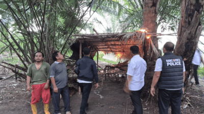 Polisi bakar gubuk yang diduga jadi tempat penyalahgunaan narkoba.