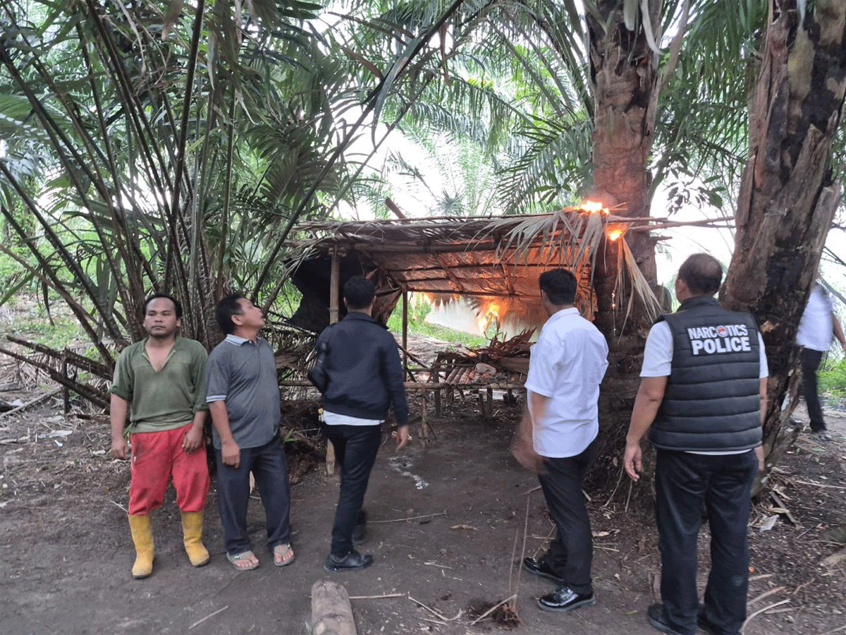 Respons Cepat Laporan Viral, Polres Sergai dan Polsek Kotarih Musnahkan Dua Gubuk Diduga Jadi Lokasi Penyalahgunaan Narkoba 1 Polisi bakar gubuk yang diduga jadi tempat penyalahgunaan narkoba.