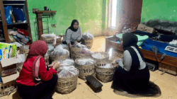 Aktivitas perajin gula merah di Desa Jugosari, Kecamatan Candipuro, Kabupaten Lumajang, Jawa Timur, untuk membangun merek sendiri dan memperluas jangkauan pemasaran. (Foto: Ayu untuk liputankini.com)