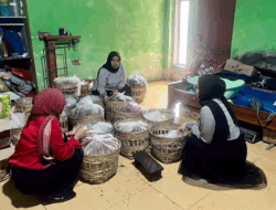 Perajin Gula Merah di Lumajang Bangun Merek Sendiri