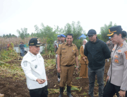 Kabar Gembira, Pemkab Agam Percepat Pembangunan 440 Unit Hunian Tetap di Padang Mardani