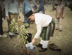 Rayakan Hari Jadi Kabupaten Bungo ke-61, Bupati Punya Cara Berbeda: Tanam Pohon Produktif