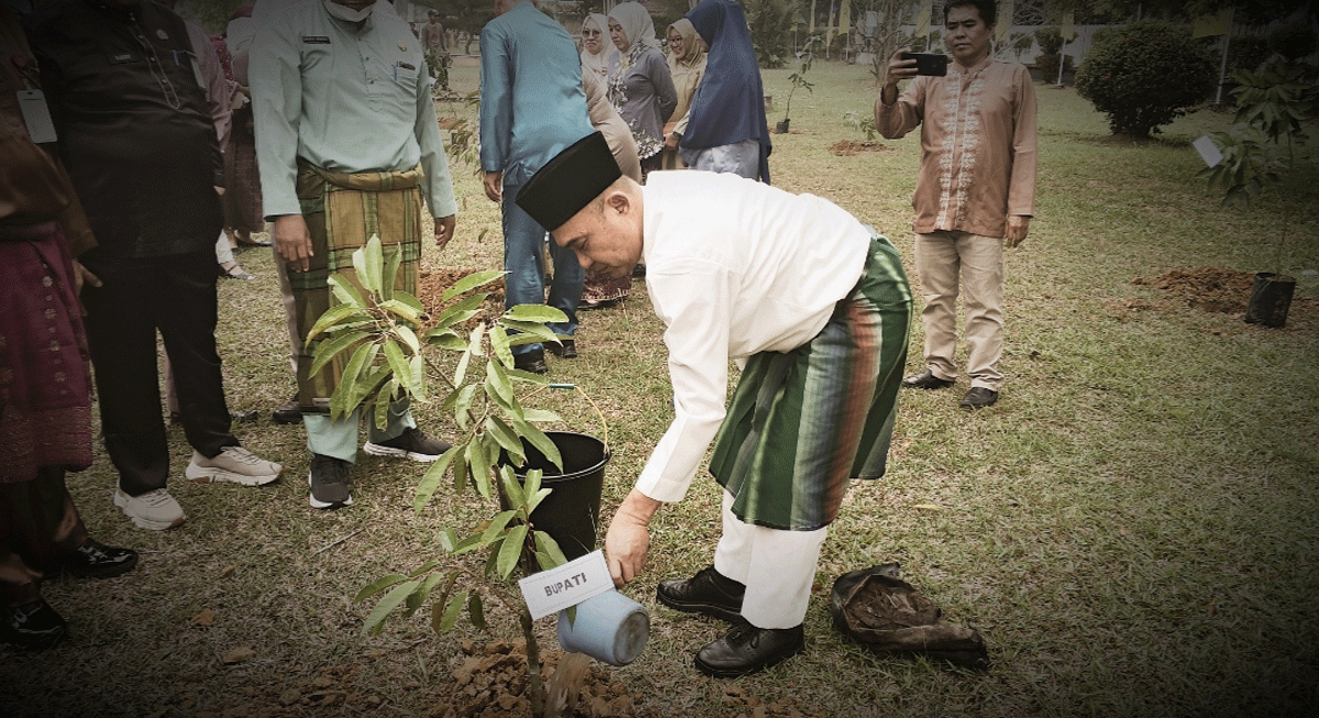 Rayakan Hari Jadi Kabupaten Bungo ke-61, Bupati Punya Cara Berbeda: Tanam Pohon Produktif 1 Bupati Bungo tanam pohon. (bungokab.go.id)