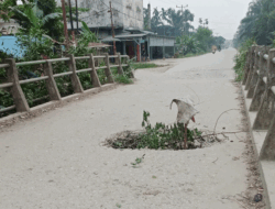Jembatan Berlubang, Warga di Indragiri Hilir Tancapkan Ranting dan Karung Tanda Bahaya
