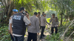 Kapolres Sergai Turun Langsung Gerebek Sarang Narkoba di Pantai Cermin Kiri, Satu Pria Diamankan