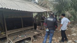 Polres Dharmasraya Gerebek Pondok Sawit yang Diduga Jadi Sarang Pesta Sabu