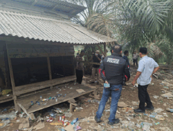 Polres Dharmasraya Gerebek Pondok Sawit yang Diduga Jadi Sarang Pesta Sabu