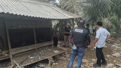 Polres Dharmasraya Gerebek Pondok Sawit yang Diduga Jadi Sarang Pesta Sabu