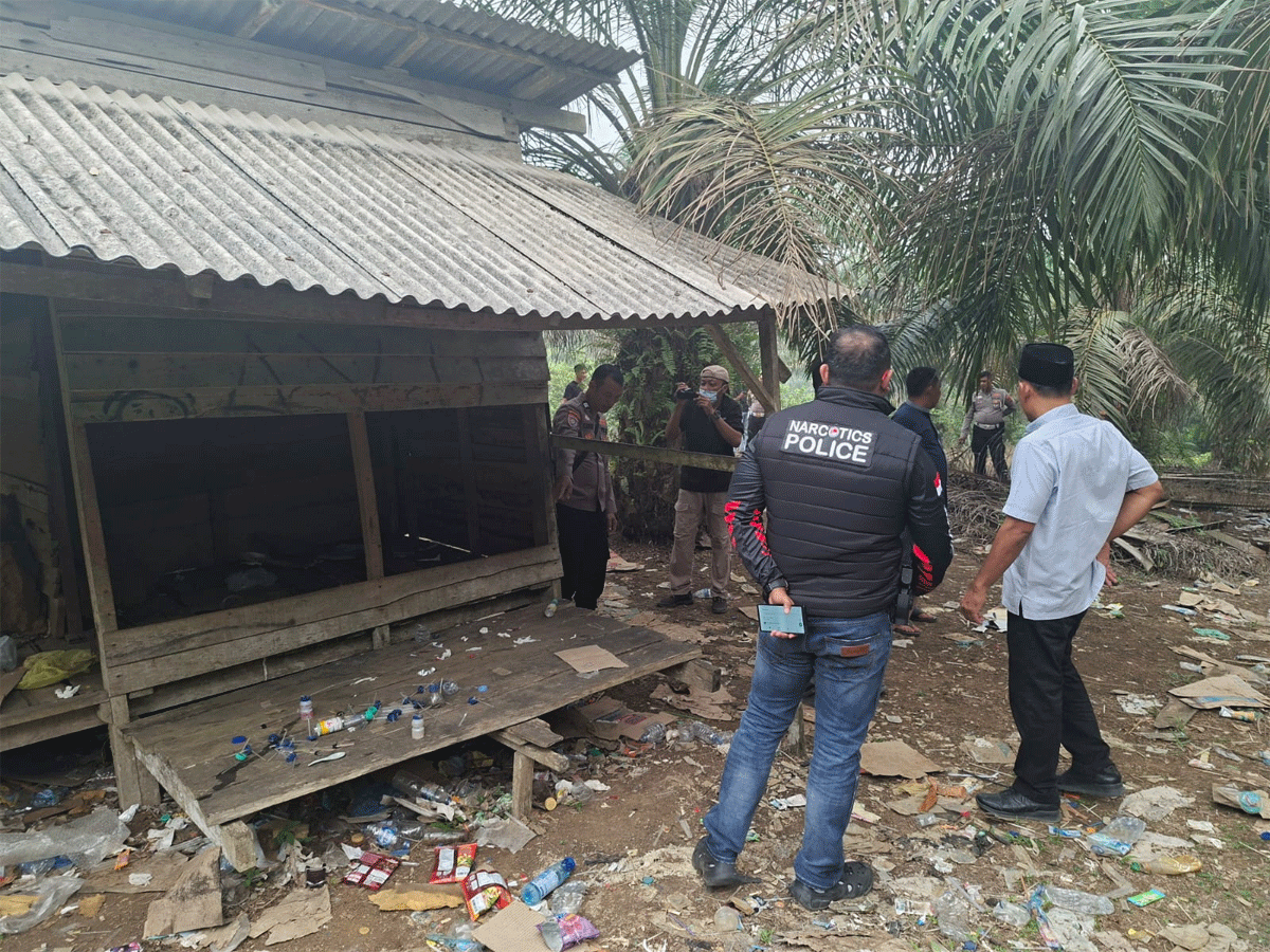 Polres Dharmasraya Gerebek Pondok Sawit yang Diduga Jadi Sarang Pesta Sabu 1 Polres Dharmasraya Gerebek Pondok Sawit yang Diduga Jadi Sarang Pesta Sabu